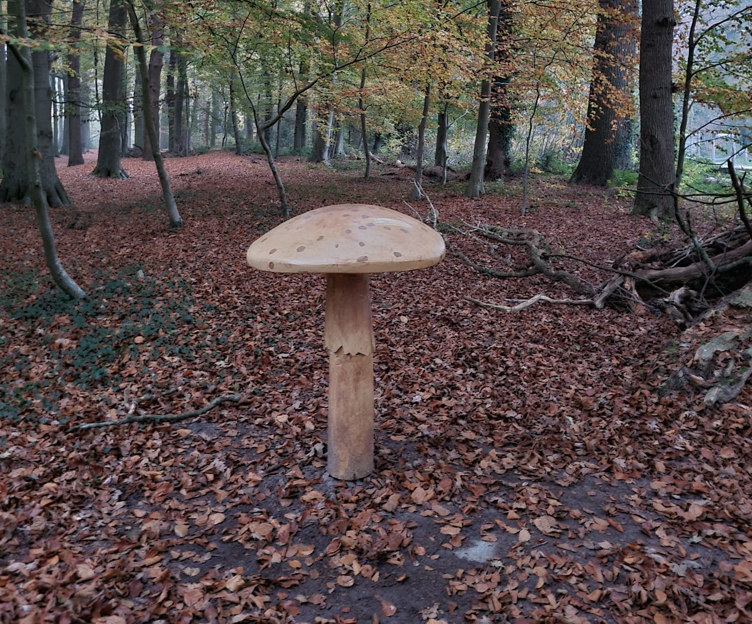 Image is not available